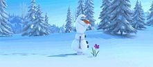 Olaf :)