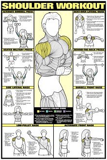 Kazdego dnia z 3 dni silowych robimy cwiczenia na rozne partwie ciala.

1 dzien ( u mnie poniedzialek ) klatka+ triceps+brzuch
2 dzien ( u mnie sroda) nogi+barki+miesnie naramie...