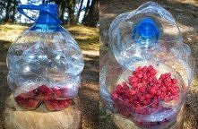 Jak zrobić prowizoryczny kosz z baniaka po wodzie? Odpowiedź znajdziesz, klikając w zdjęcie :)