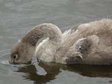 Moje widoki okiem obiektywu :)