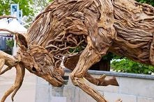 Przyroda też jest kreatywna :)