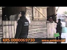 Pomóż nam pomagać!