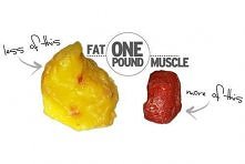 Wszem i wobec mówie Wam: Przestańmy się ważyć :D Na obrazku mamy po lewej ok. pół kilograma tłuszczu, a po prawej ok. pół kilograma mięśni. Czego jest więcej? Dlaczego ćwicząc w...