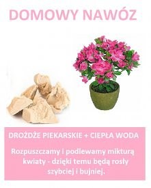 domowe sposoby :)