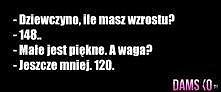 damsko.pl
