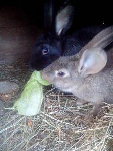 Zajadamy śniadanko :)