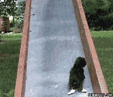 GIF ;) niesforne dzieci ;)