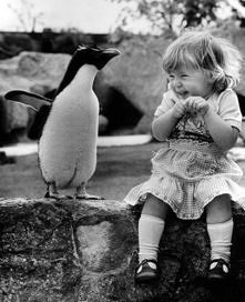 Awww