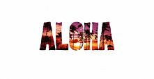 aloha. ♥