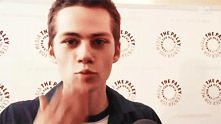 Dylan gif