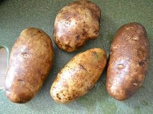 kartofle z wolnowara