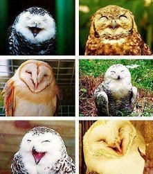 śmiech to podstawa :)