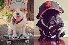 w co się tu ubrać ?