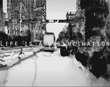 life is a hallucination...