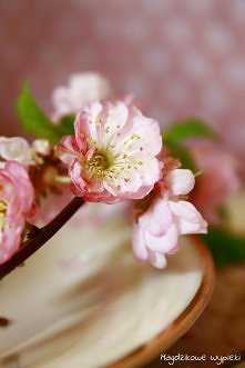 Magdzikowe Wypieki: Sernik ...