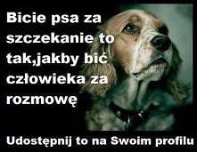 właśnie!