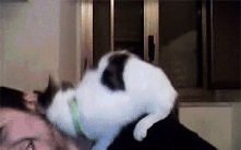 Awwwww :3 Czasami żałuję, ż...