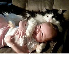 przytulasek
słodko *_*