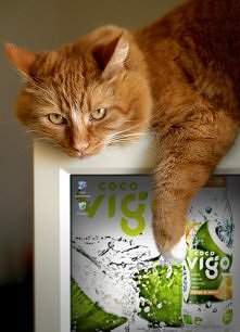 ... a teraz chwila relaksu - z Coco Vigo, oczywiście! :)