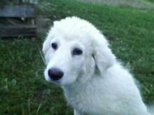 moj kochany piecho :-*