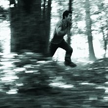 The Maze Runner