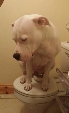 Śpiąca królewna na tronie:-):-):-)