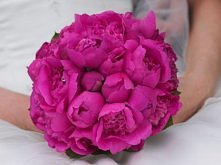 Cudna wiązanka z peonii :)