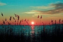 lato zbliża się wielkimi kr...