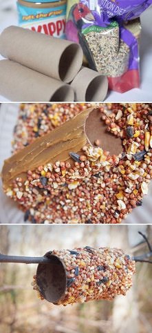 karmnik z rolki papieru toaletowego