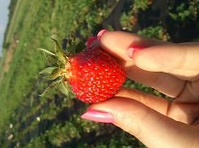 u mnie już są :D ;)