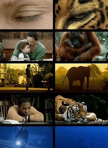 Jesteśmy do siebie bardzo podobni. Szanujmny się ;)!