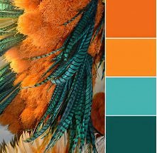Turkusy & pomarańcze