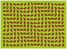 To nie jest gif, a jednak orzechy się ruszają. Nawet jak wydrukujesz to na kartkę będą się ruszać. Miłej zabawy.