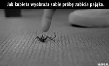Jpdrl :D
Słodki pająk :)