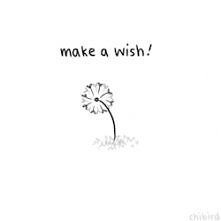 make a wish! gif