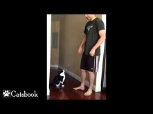 Best Kitty Hug Ever!