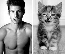 Nie wiem sama którego bym w...