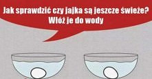 jak sprawdzić ,że jajko jes...