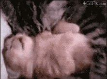 Kocham! mrrr ♥♥♥