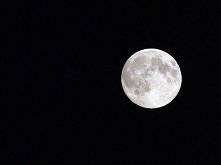 Wyję do Księżyca.