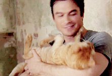 ian - gif