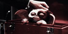 Gizmo! (gif)