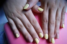 Paznokcie hybrydowe firmy E...