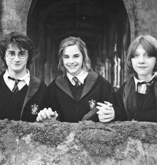 Harry, Hermiona i Ron :)