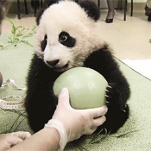 awww *.*