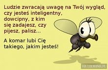 Nieważne kim jesteś...