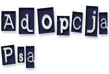 Znacie miejsca gdzie można ...