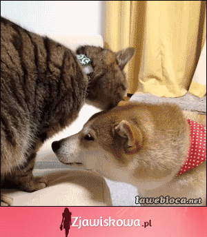 ^^ <3