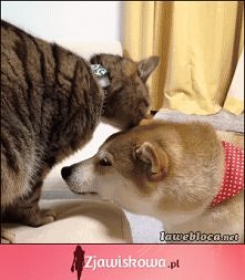 ^^ <3