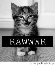 RAWWWR
